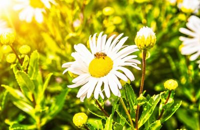 Calm seas and gentle breezes make for an easygoing Tuesday despite a slightly hazy sky. Photo credit: Unsplash
