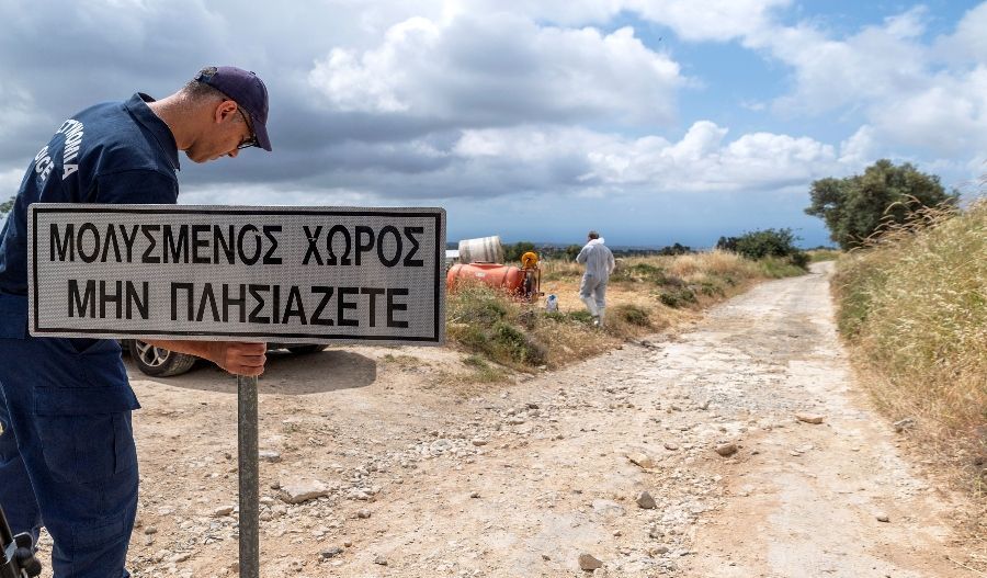 Foot-and-mouth culling begins in Limassol after new outbreak in Pachna