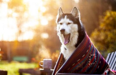 Choppier seas and rumbling clouds arrive later today, while cooler weather waits just around the corner. Photo credit: Unsplash