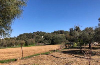 THEMIS: 180+ Plots of Land from €1,000