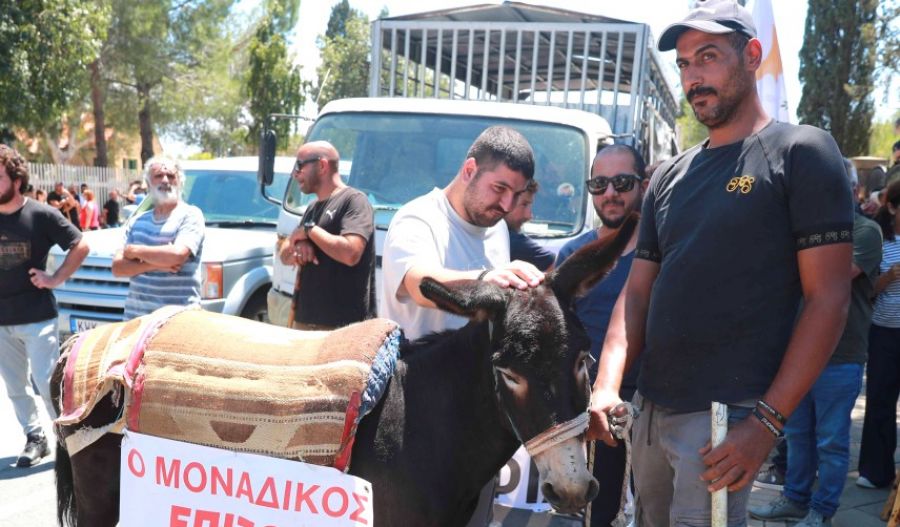 Government unveils tougher measures to contain livestock disease outbreak
