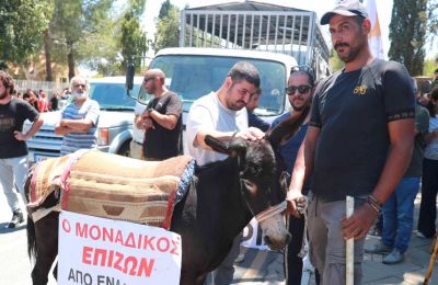Government unveils tougher measures to contain livestock disease outbreak