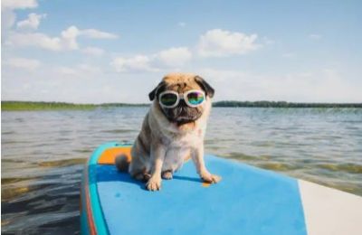Warm days, gentle seas and steady temperatures suggest summer is quietly settling in. Photo credit: Unsplash