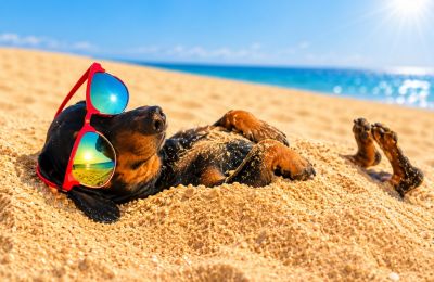 A few afternoon clouds may bring isolated mountain showers, but summer remains firmly in control. Photo credit: Unsplash