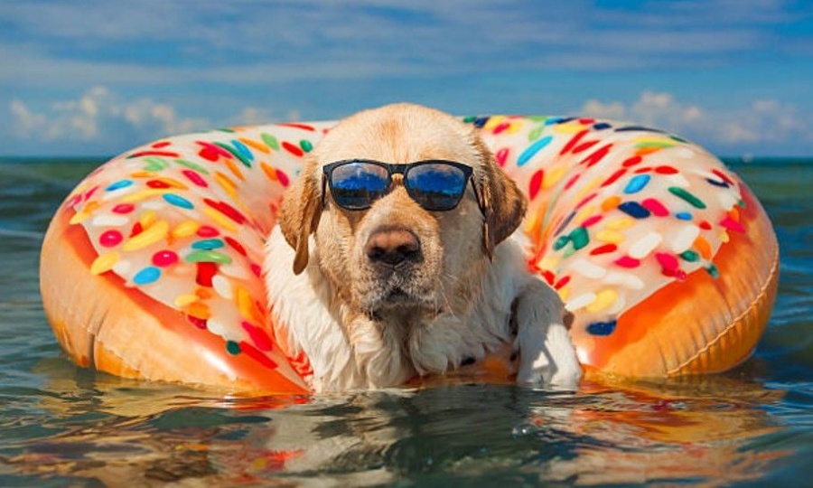 Weekend weather: A mostly sunny weekend for dads and everyone else