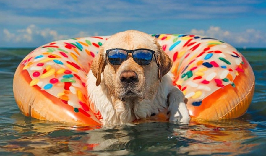 Temperatures set to climb steadily, reaching above-average levels by Monday. Photo credit: Unsplash
