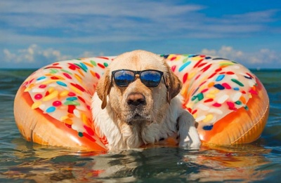 Temperatures set to climb steadily, reaching above-average levels by Monday. Photo credit: Unsplash