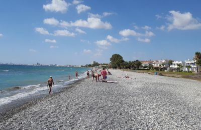 Social media photo by S. Agapiou