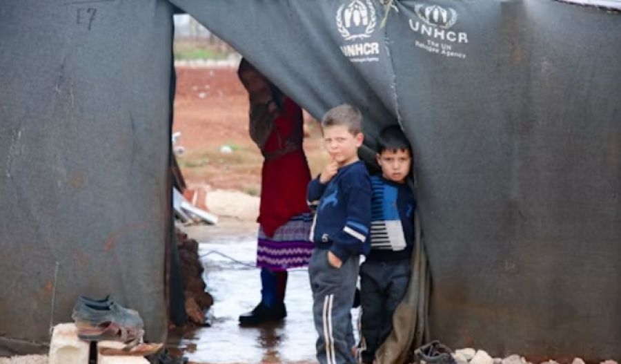 Commissioner points to Cyprus’ own history of displacement while urging stronger support and integration policies for refugees and asylum seekers. Photo credit: Unsplash