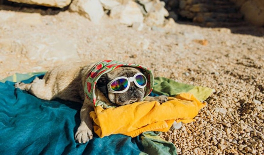 Afternoon showers remain possible over the mountains before hotter weather arrives later in the week. Photo credit: Unsplash
