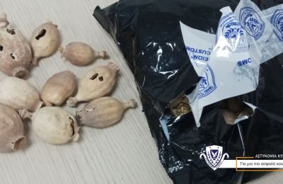 5 men, including 2 illegal aliens, arrested for importing 20kg of dried poppy pods