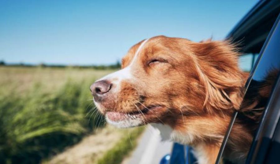 Paphos survives yesterday's 80% humidity swamp, while Nicosia gets a tiny 2-degree break from yesterday’s 40°C peak. Photo credit: Unsplash