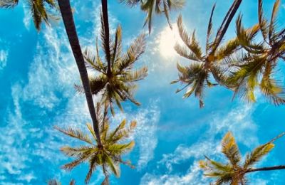 Skies stay generally clear, though the afternoon might bring a stray drop or two over the peaks. Photo credit: Unsplash