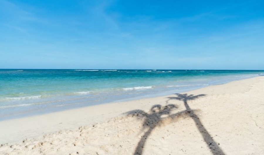 Those stuck at their desks can officially envy the west coast’s beautiful 30°C breeze. Photo credit: Unsplash