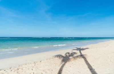 Those stuck at their desks can officially envy the west coast’s beautiful 30°C breeze. Photo credit: Unsplash