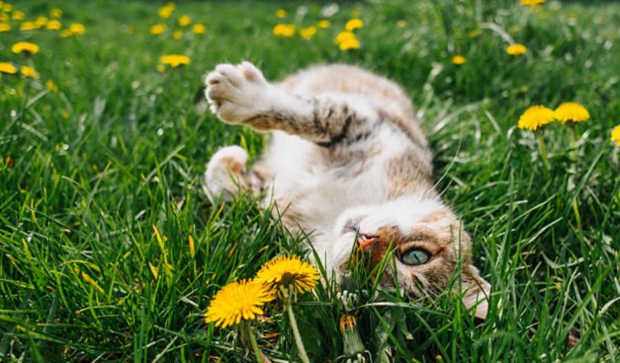 A light, lazy breeze takes over the coastlines, keeping the afternoon heat entirely manageable. Photo credit: Unsplash