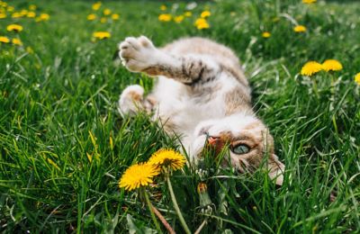 A light, lazy breeze takes over the coastlines, keeping the afternoon heat entirely manageable. Photo credit: Unsplash