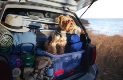 Coastal areas brace for fresh afternoon winds up to 6 Beaufort and rougher seas out west. Photo credit: Unsplash