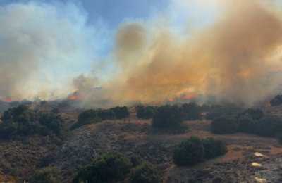 Ministry of Defence says the investigation will establish a full and evidence-based account of the incident. Photo credit: @DepartmentOfForests Facebook
