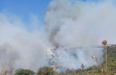 Department of Forests keeps patrols on high alert after multiple incidents. Photo credit: CNA/Kiki Pericleous