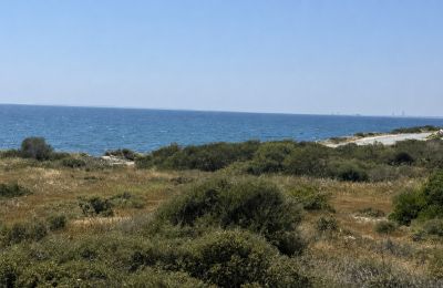 Limassol recorded the largest sale of the year, while Paphos, Nicosia and Larnaca continued to attract major investment. Photo credit: www.buysellcyprus.com
