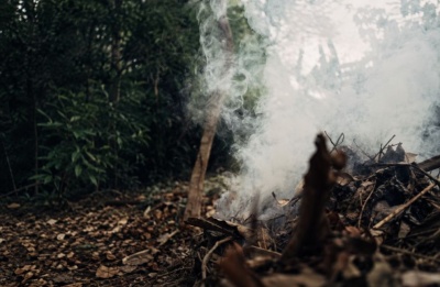 Members of the public extinguished the fire before it spread. Photo credit: Unsplash