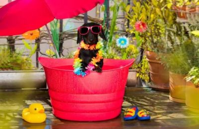 Midweek cooling trend points toward a small chance of mountain showers by Friday. Photo credit: Unsplash