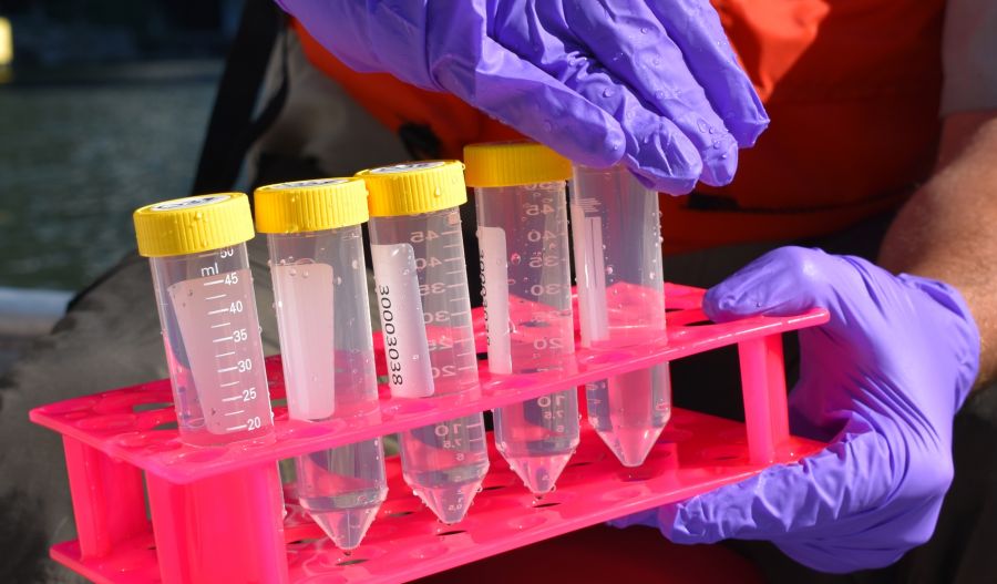 Genetic traces in samples can reveal which organisms are present, helping scientists detect changes in various bodies of water. Photo credit: www.fws.gov