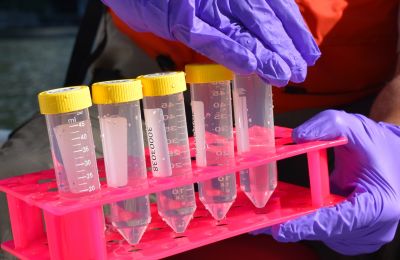 Genetic traces in samples can reveal which organisms are present, helping scientists detect changes in various bodies of water. Photo credit: www.fws.gov