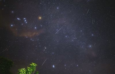 Cyprus looked up as Perseids lit the summer sky
