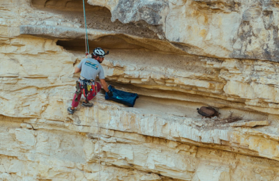 Hanging from a cliff to give Cyprus’ newest vulture a fighting chance (images)