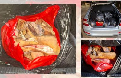 Customs finds 245 kilos of cattle hides and entrails in car