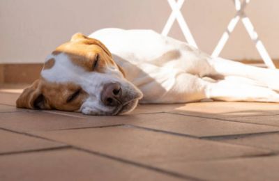 Windward coasts will see Force 5 gusts by late afternoon before clear skies and a late-week warming trend take over by Friday. Photo credit: Unsplash