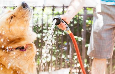 Breezes stay nice and light until a slight temperature drop comes coolin' on down by Friday. Photo credit: Unsplash