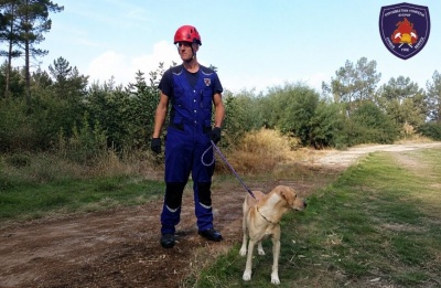 Eight trained dogs support operations to locate missing people and survivors. Photos courtesy of @FireServiceCyprus Facebook