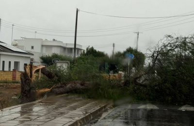 Applications must include key personal details and photographs of damage.