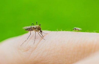 Authorities urge the public to protect themselves against mosquito bites and eliminate stagnant water around their homes. Photo credit: Unsplash