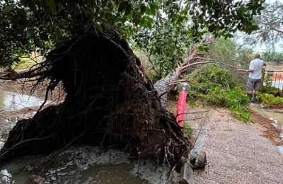 Storm damaged your home or car? Here’s what the state will pay