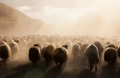 Commission also pledges continued support for efforts to eradicate foot-and-mouth disease across Cyprus. File photo Unsplash