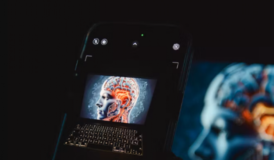 Stock photo Unsplash
