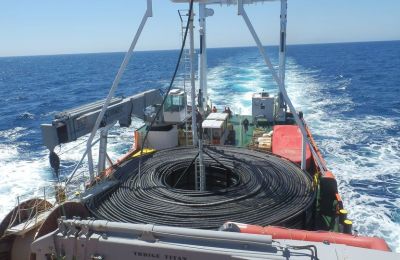 Government chaos over the power cable