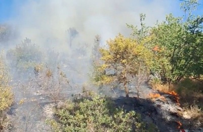 Three fire engines, bulldozers, volunteers and additional crews have been deployed. Image screen captured from Weather Enthusiasts Cyprus/@michalis.michael.771 Facebook video