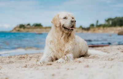 A weather disturbance arrives Thursday, bringing cooler temperatures, possible hail and a dust-filled atmosphere. Photo credit: Unsplash