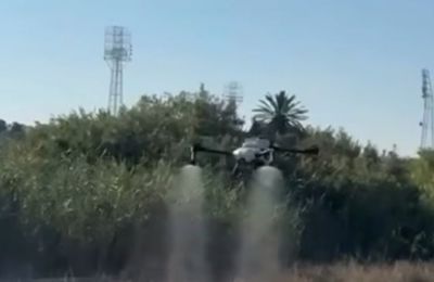 Nicosia calls in the drones for its mosquito problem
