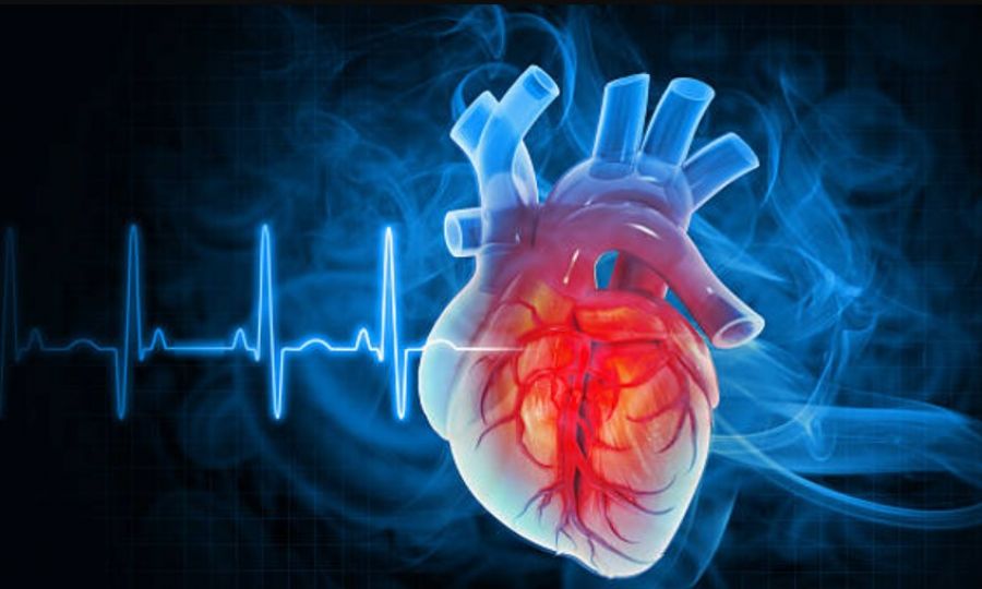 One in three people in Cyprus faces risk of dying from cardiovascular disease