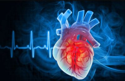 Nearly 20 million people die from cardiovascular disease worldwide each year. File photo Unsplash