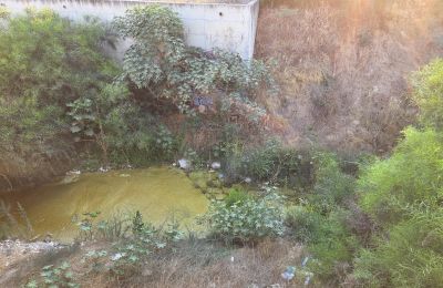 Residents also report a surge in mosquitoes near homes and schools in the area. Photo credit: @likeornot Facebook