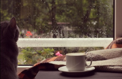 Sunday and Monday bring pop-up thunderstorms and a slight temperature drop just to remind you that nature is in charge. Photo credit: Unsplash