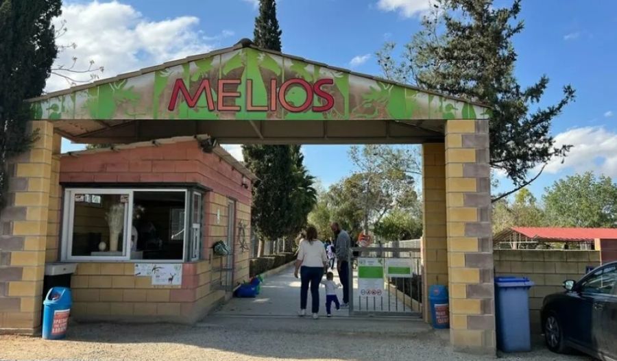 Bear escape puts Melios Zoo dispute back in the spotlight