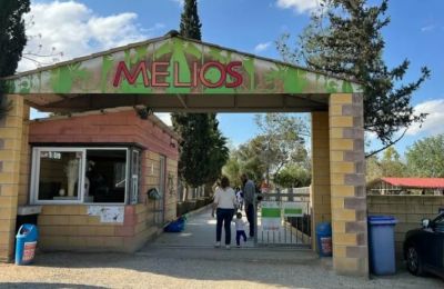 Bear escape puts Melios Zoo dispute back in the spotlight